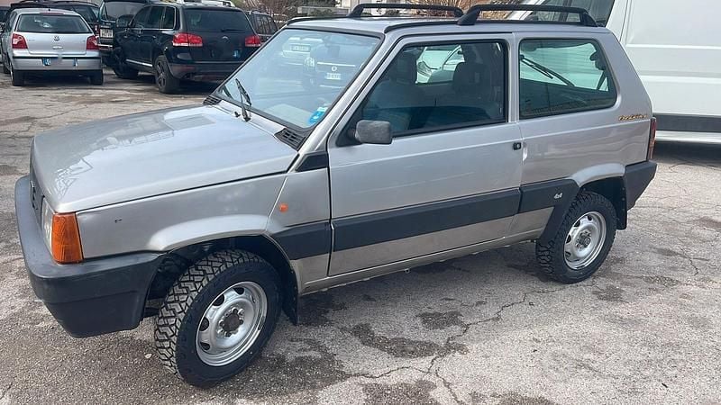 Usata Fiat Panda 4x4 Trekking 54 CV (39 kW) 1999 Grigio Utilitaria
