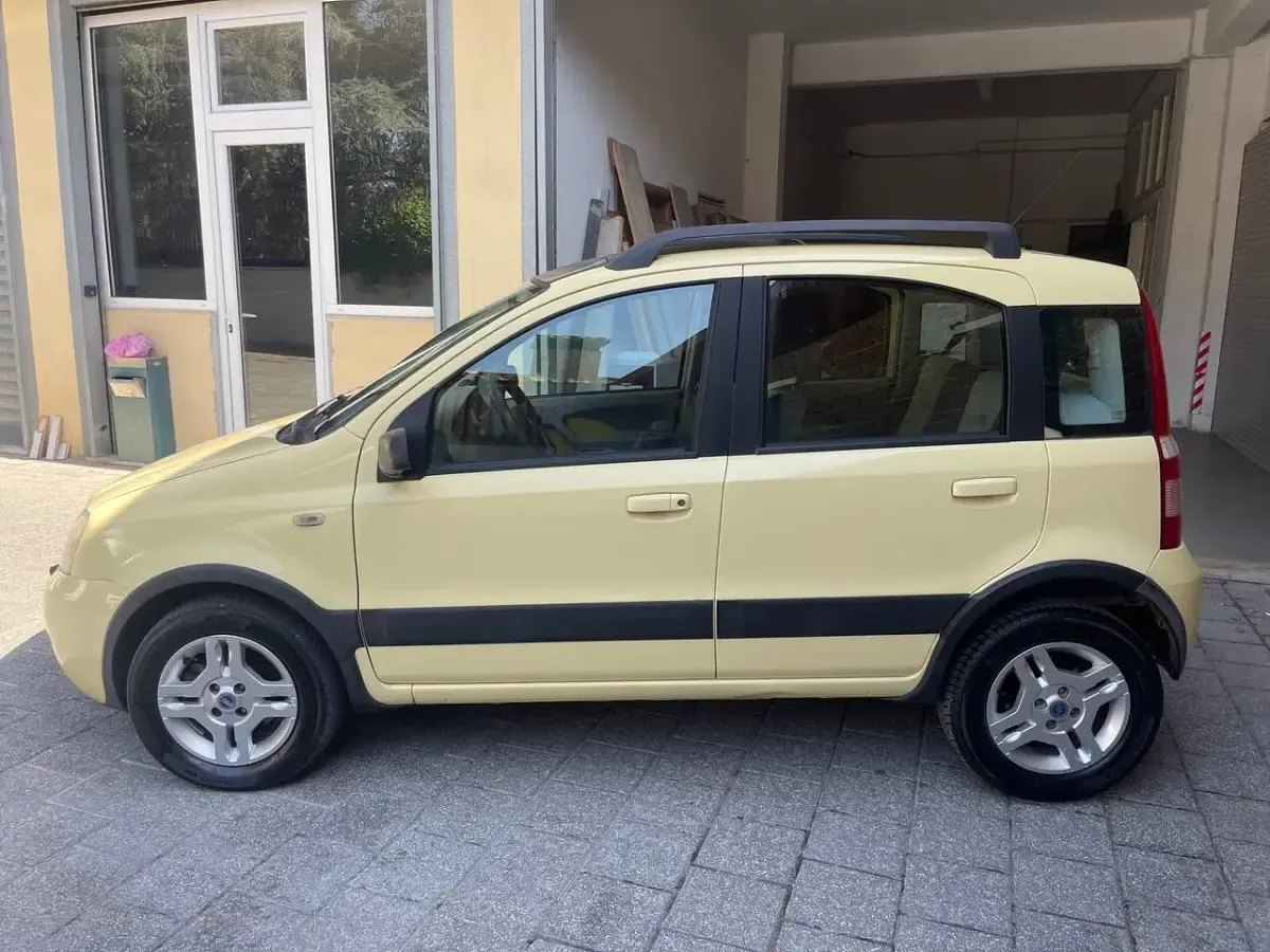 Usata Fiat Panda 4x4 Climbing 69 CV (50 kW) 2005 Giallo Utilitaria