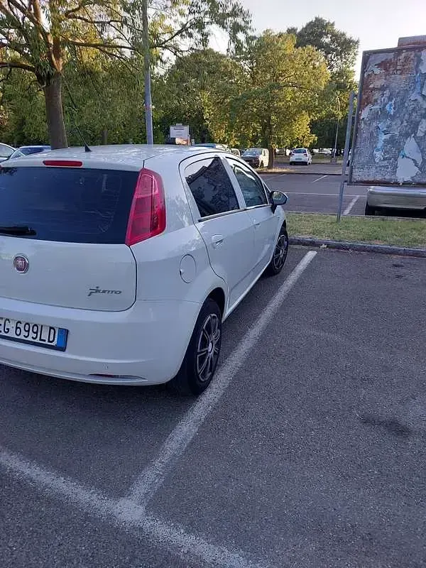 Usata Fiat Punto Dynamic 95 CV (69 kW) 2011 Utilitaria