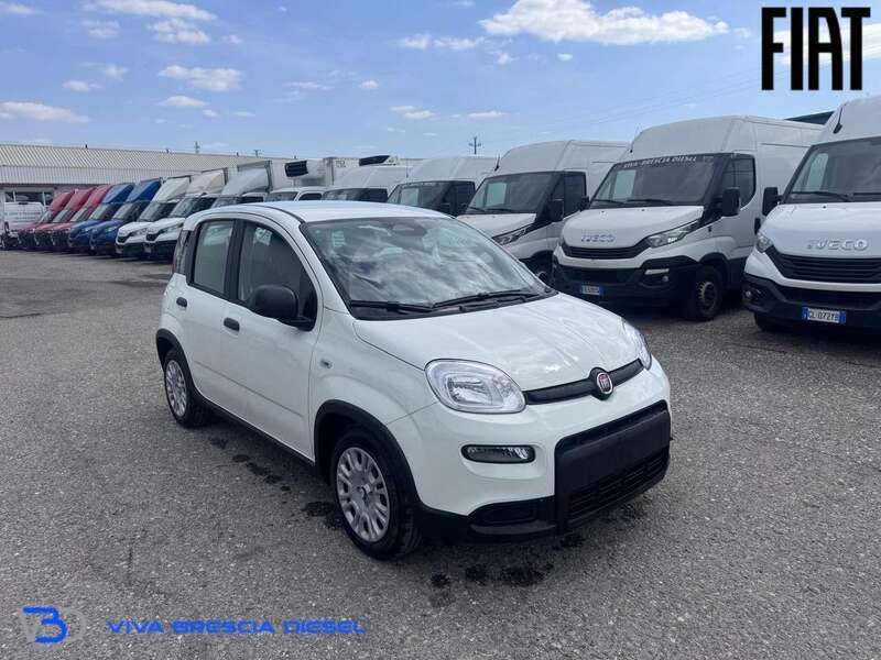 Usata Fiat Panda S 69 CV (50 kW) 2024 Bianco gelato Utilitaria