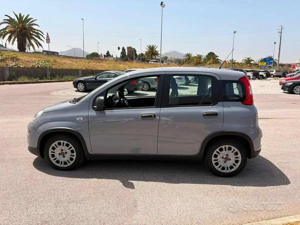 Usata Fiat Panda S 69 CV (50 kW) 2022 Grigio Utilitaria