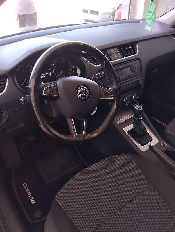 Usata Skoda Octavia Ambition 105 CV (77 kW) 2014 Marrone Berlina