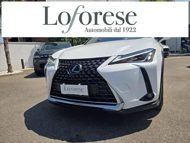 Usata Lexus UX 250h Business Edition 152 CV (111 kW) 2020 Bianco SUV