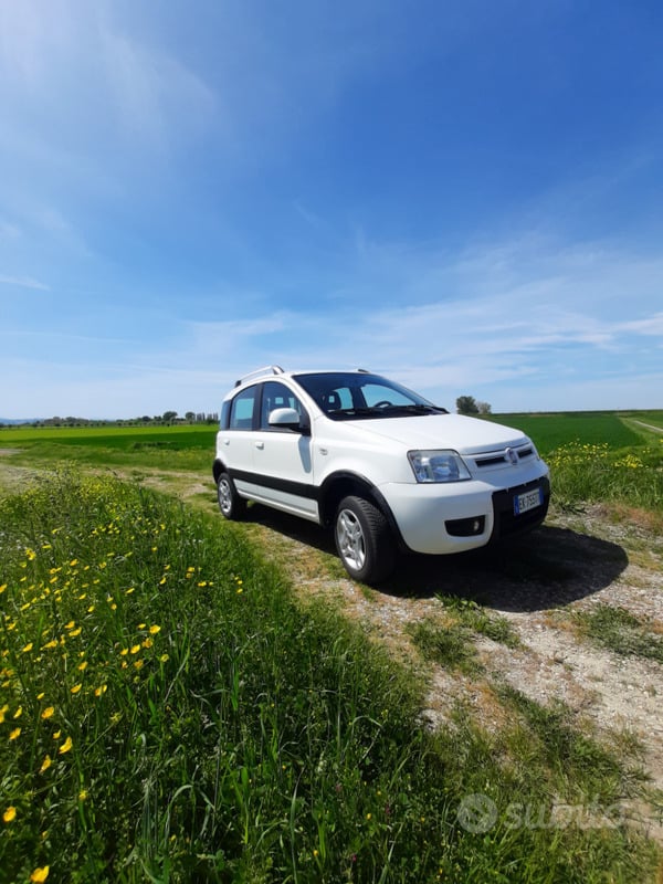 Usato 2011 Fiat Panda 4x4 1.2 Diesel 75 CV (9.000 €)