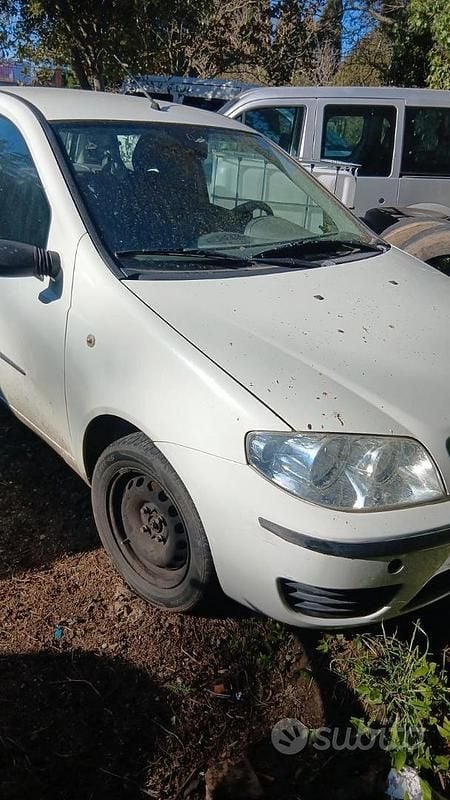 Usata Fiat Punto 75 CV (55 kW) 2009 Bianco Utilitaria