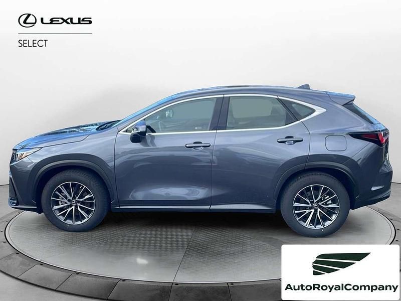Usata Lexus NX300 Business Edition 243 CV (178 kW) 2023 Grigio SUV