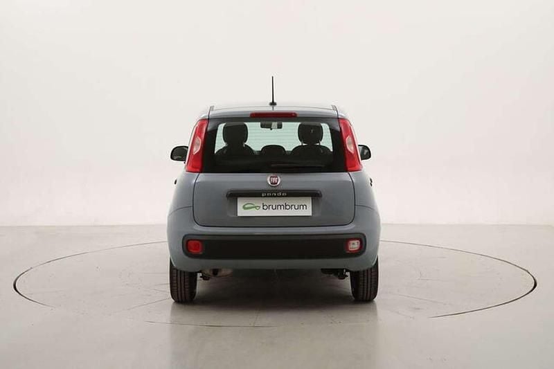 Usata Fiat Panda Easy 69 CV (50 kW) 2020 Grigio Utilitaria