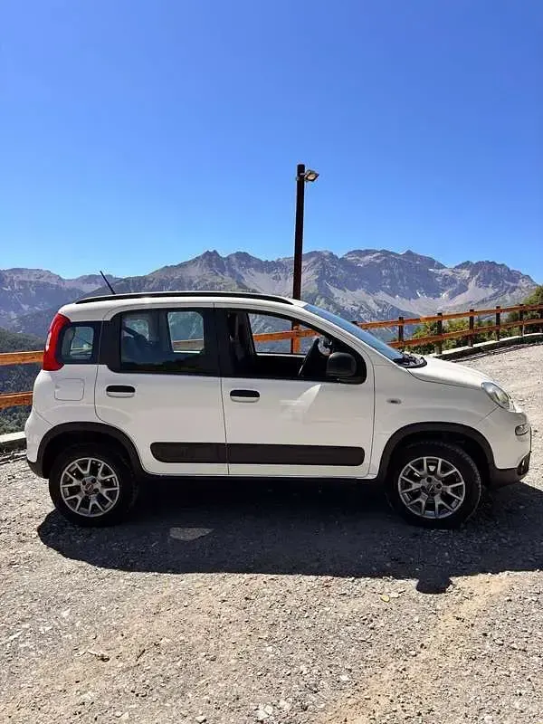 Usata Fiat Panda Cross Cross 90 CV (66 kW) 2020 Utilitaria