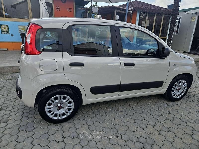 Usata Fiat Panda Easy 69 CV (50 kW) 2017 Beige Utilitaria