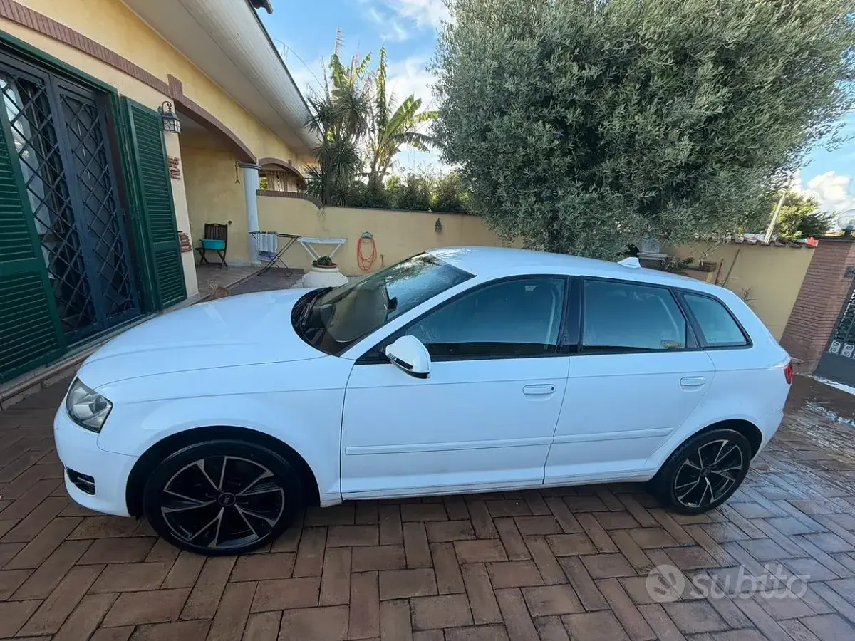 Usata Audi A3 90 CV (66 kW) 2011 Bianco Utilitaria