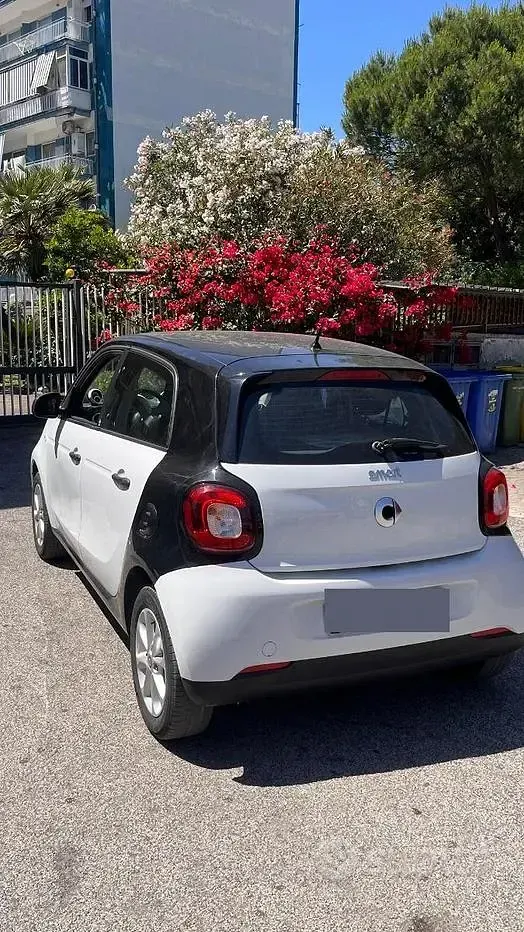 Usata Smart ForFour 71 CV (52 kW) 2019 Bianco Utilitaria