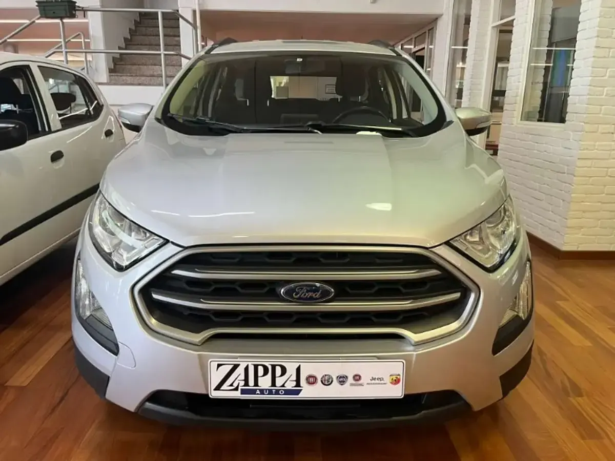 Usata Ford Ecosport 99 CV (72 kW) 2019 Grigio SUV