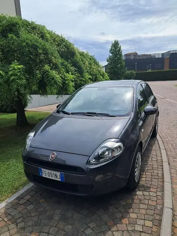 Usata Fiat Punto Evo 69 CV (50 kW) 2016 Utilitaria