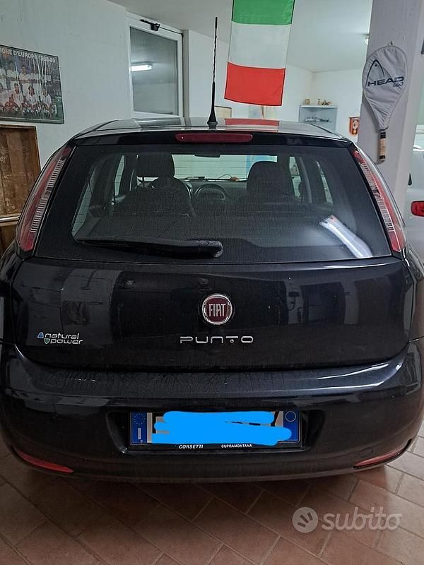 Usata Fiat Punto 77 CV (56 kW) 2013 Berlina