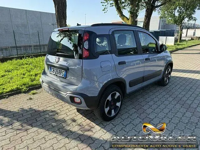 Usata Fiat Panda Cross Cross 69 CV (50 kW) 2020 Grigio Utilitaria