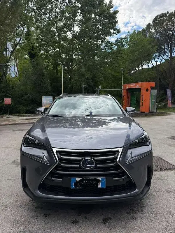 Usata Lexus NX300h Executive Line 155 CV (114 kW) 2015 Grigio SUV