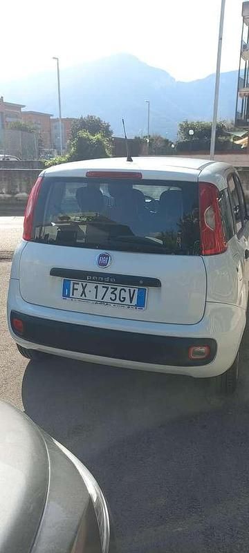 Usata Fiat Panda Easy 69 CV (50 kW) 2019 Bianca Utilitaria