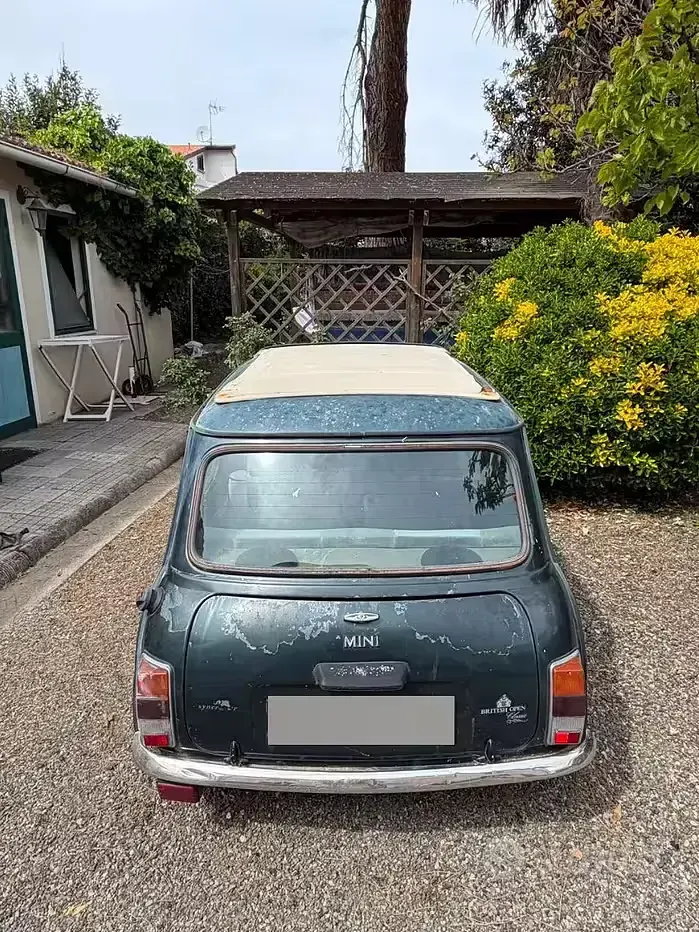 Usata Mini 1300 1994 Verde Utilitaria