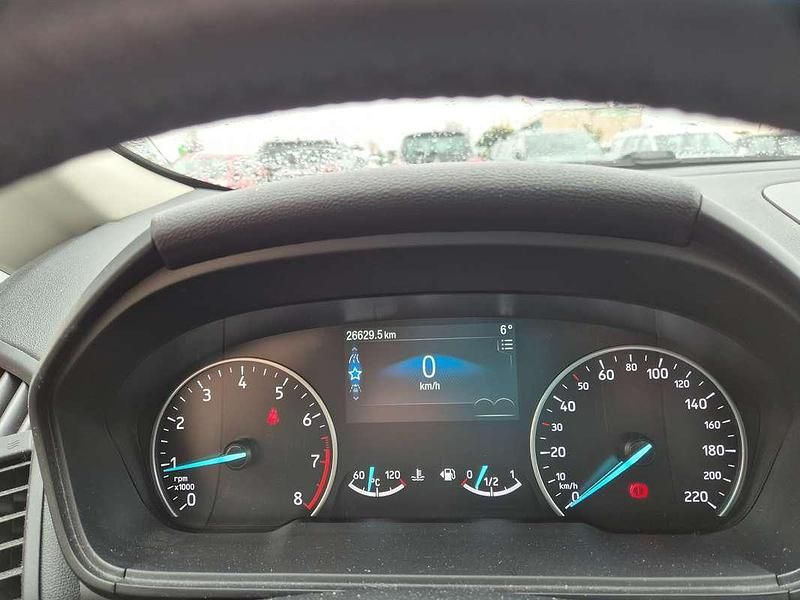 Usata Ford Ecosport Active 125 CV (91 kW) 2021 SUV