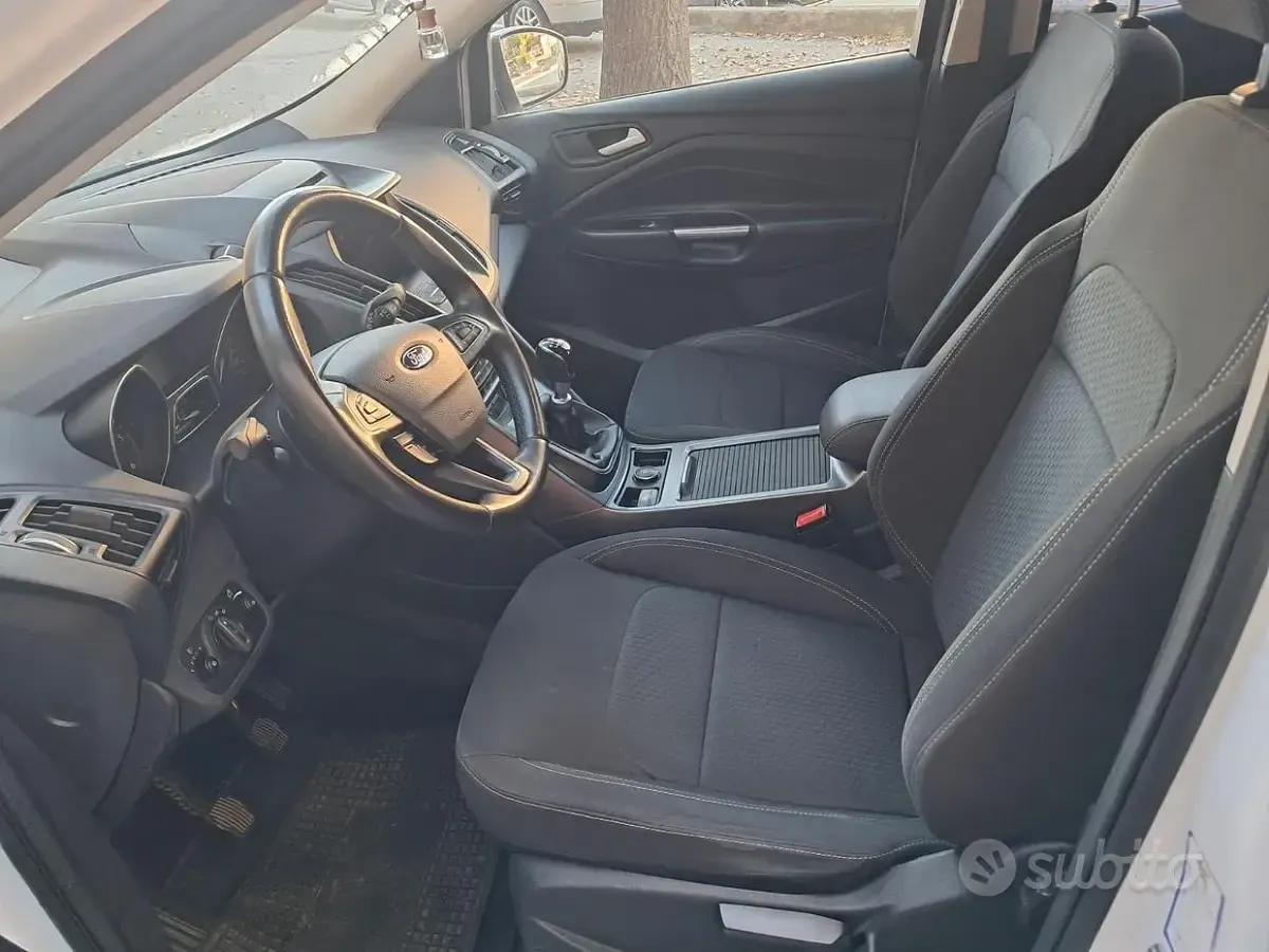 Usata Ford Kuga 120 CV (88 kW) 2019 Bianco SUV