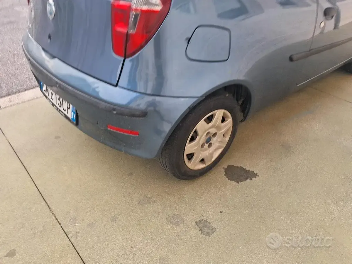 Usata Fiat Punto 60 CV (44 kW) 2004 Bluazzurro Utilitaria