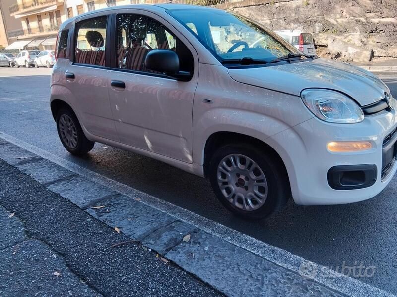 Usata Fiat Panda Easy 95 CV (69 kW) 2018 Bianco Utilitaria