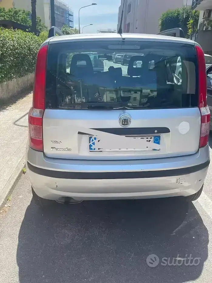 Usata Fiat Panda 60 CV (44 kW) 2008 Grigio Utilitaria