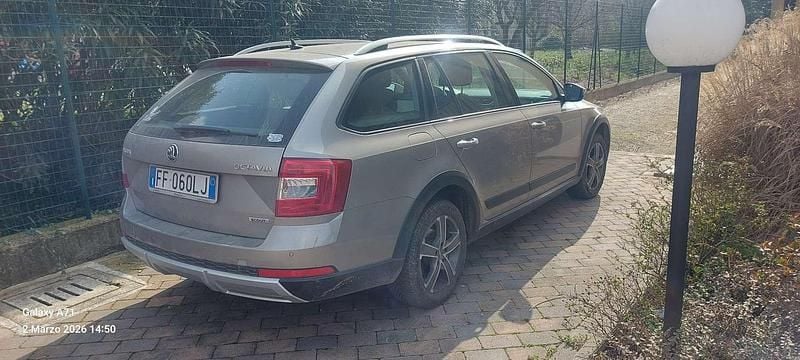 Usata Skoda Octavia Scout 4x4 184 CV (135 kW) 2016 Utilitaria