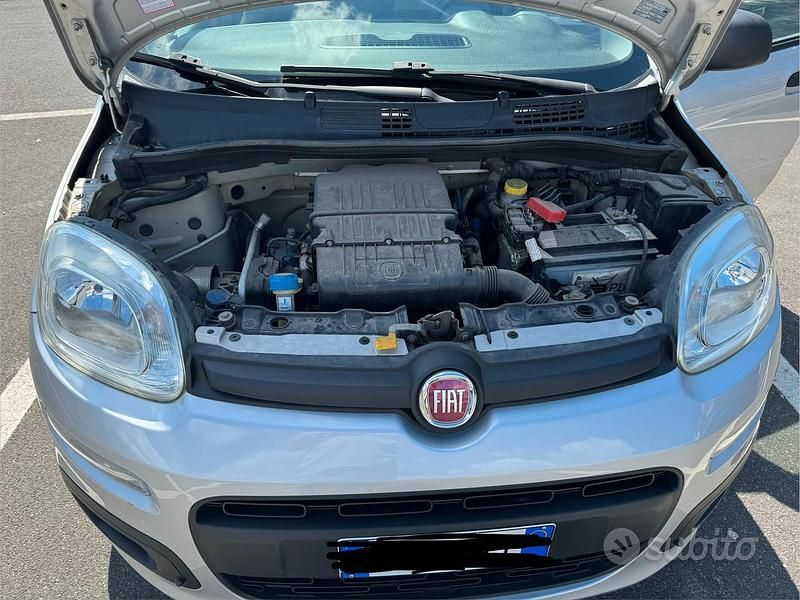 Usata Fiat Panda Easy 69 CV (50 kW) 2017 Utilitaria