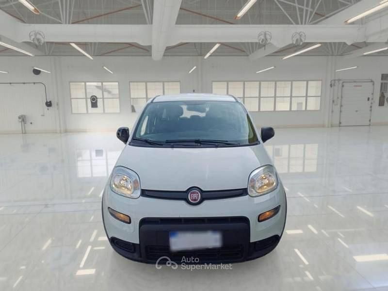 Usata Fiat Panda S 69 CV (50 kW) 2024 Utilitaria