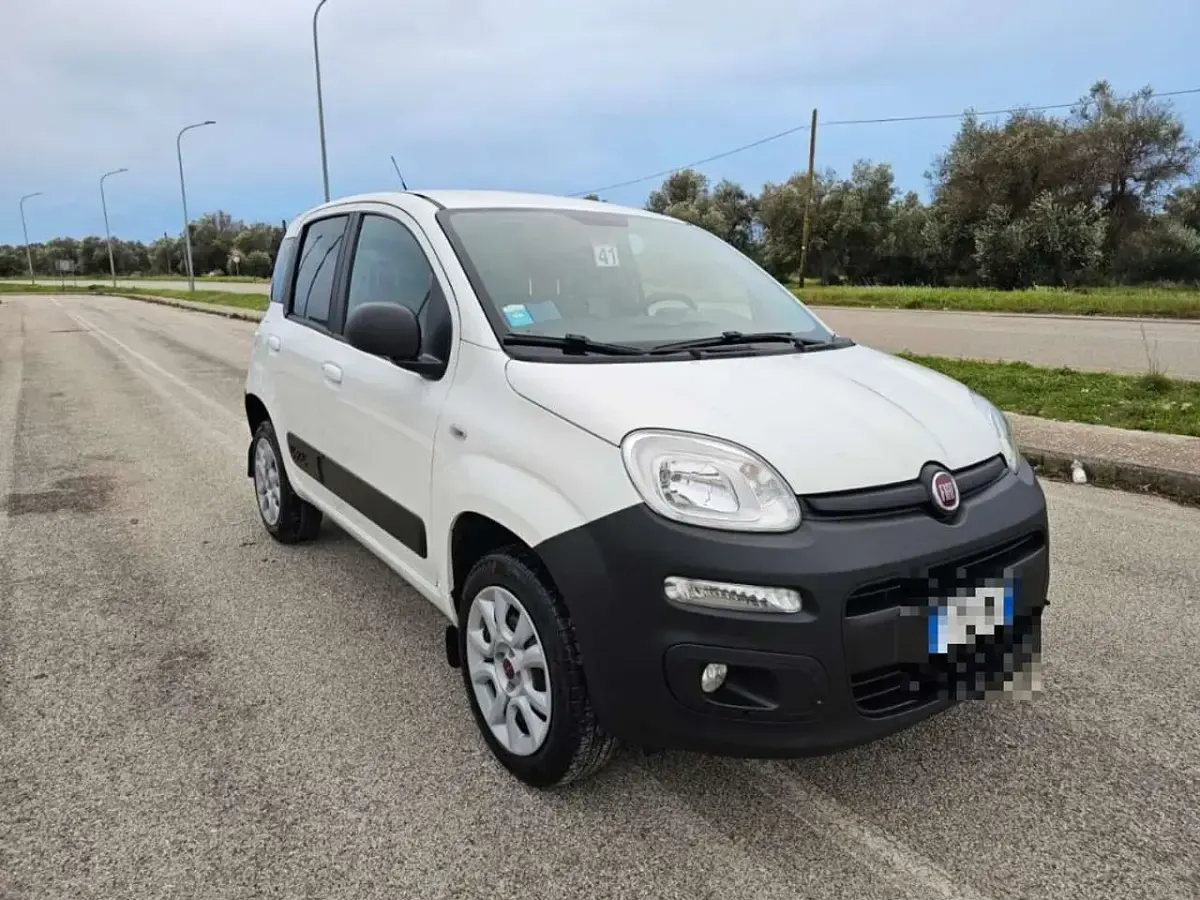 Usata Fiat Panda 4x4 Climbing 75 CV (55 kW) 2014 Bianco Utilitaria