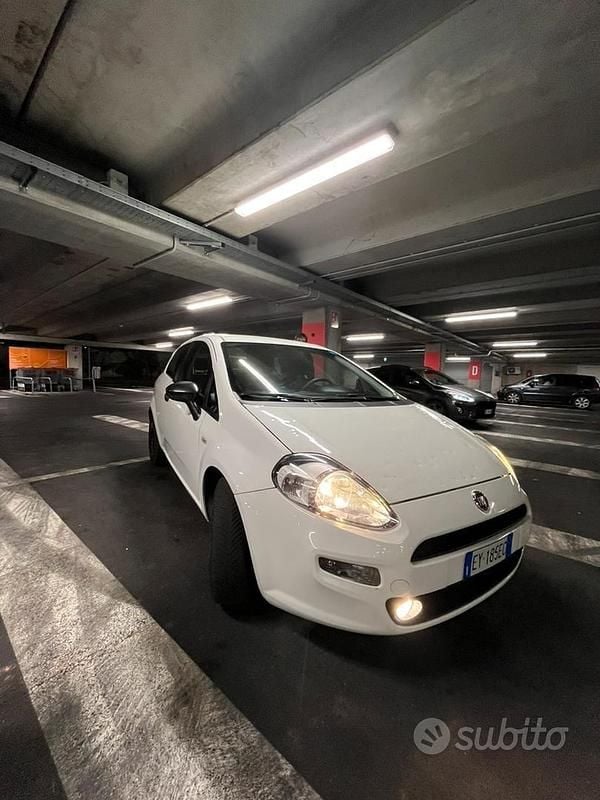 Usata Fiat Punto 75 CV (55 kW) 2013 Bianco Berlina