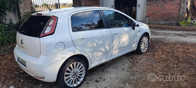 Usata Fiat Punto 69 CV (50 kW) 2013 Utilitaria