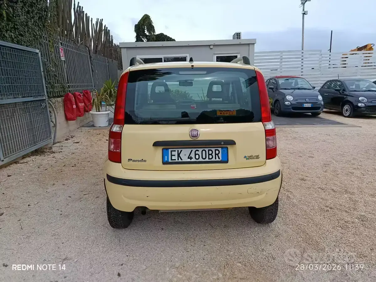 Usata Fiat Panda Active 69 CV (50 kW) 2011 Giallo Utilitaria