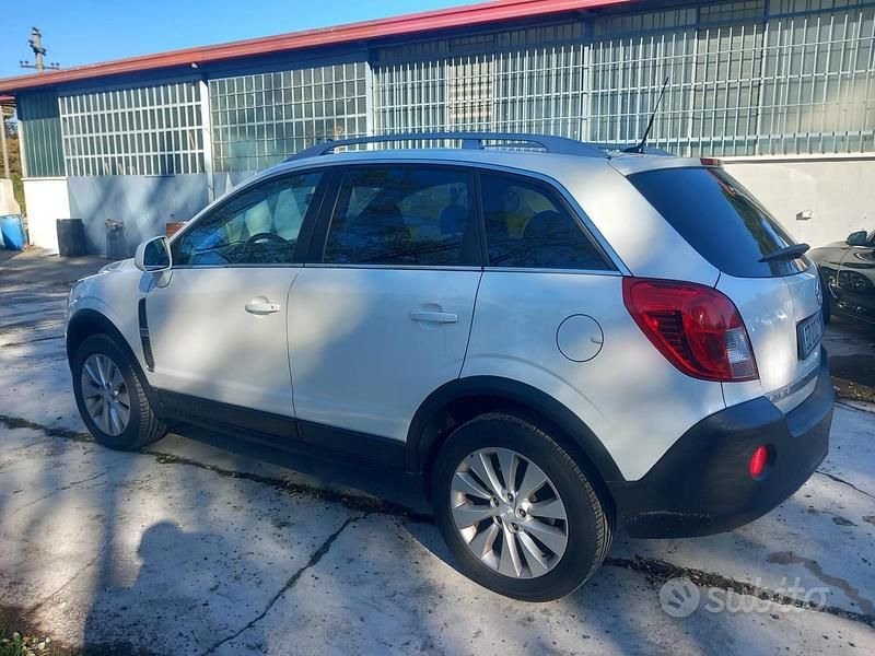 Usata Opel Antara Cosmo 163 CV (119 kW) 2015 Bianco SUV