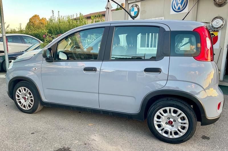 Usata Fiat Panda Red 69 CV (50 kW) 2023 Grigio Utilitaria