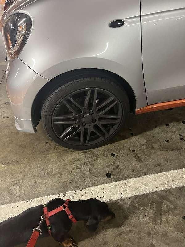 Usata Smart ForFour Passion 90 CV (66 kW) 2015 Utilitaria