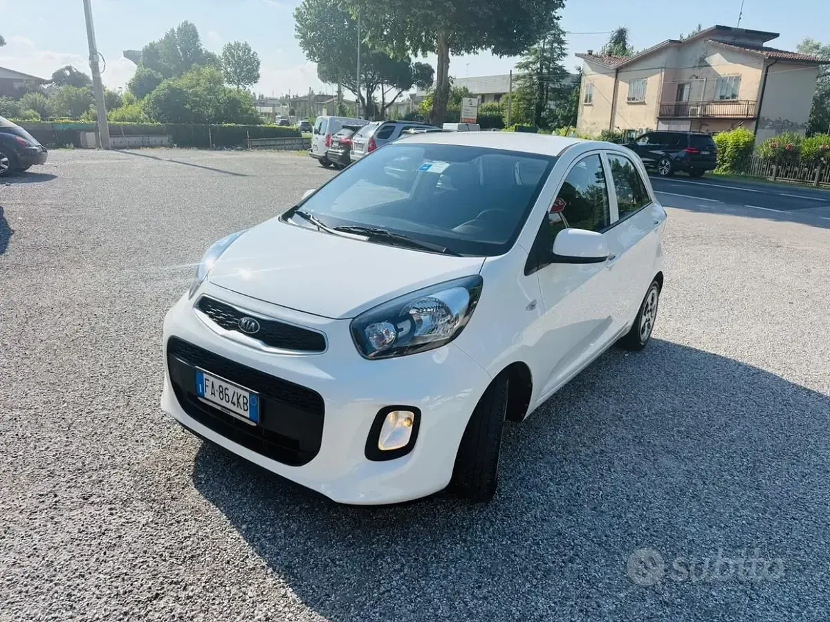 Usata Kia Picanto City 66 CV (48 kW) 2015 Bianco Utilitaria