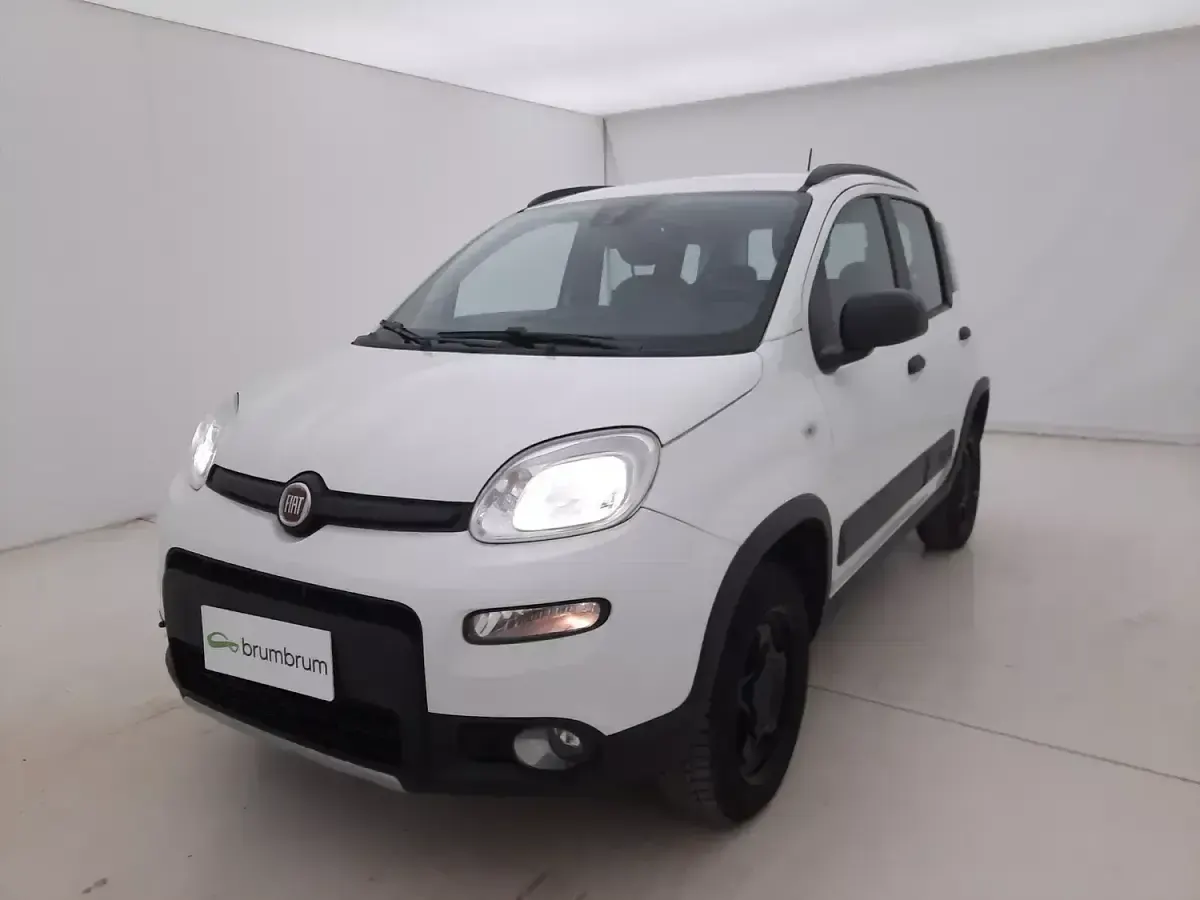 Usata Fiat Panda 4x4 Wild 85 CV (62 kW) 2022 Biancobianco Utilitaria