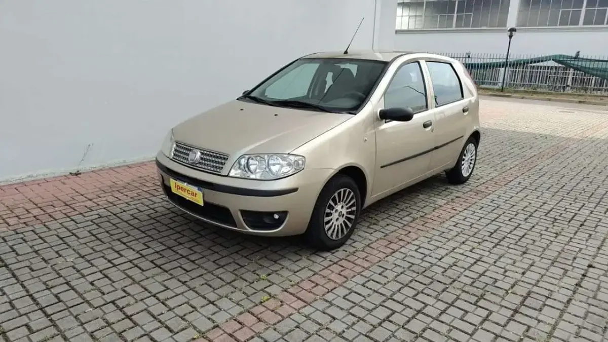 Usata Fiat Punto Active 60 CV (44 kW) 2009 Utilitaria