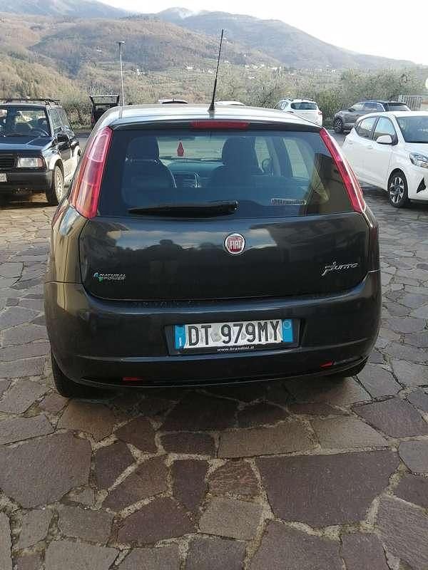 Usata Fiat Punto Active 60 CV (44 kW) 2009 Utilitaria