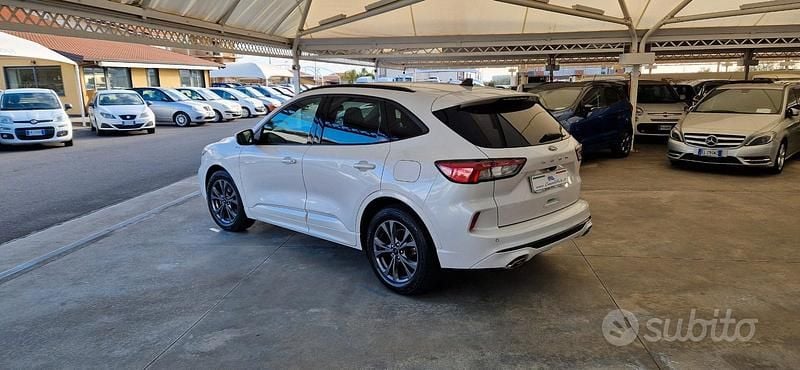 Usata Ford Kuga ST-Line X 120 CV (88 kW) 2021 Bianco SUV
