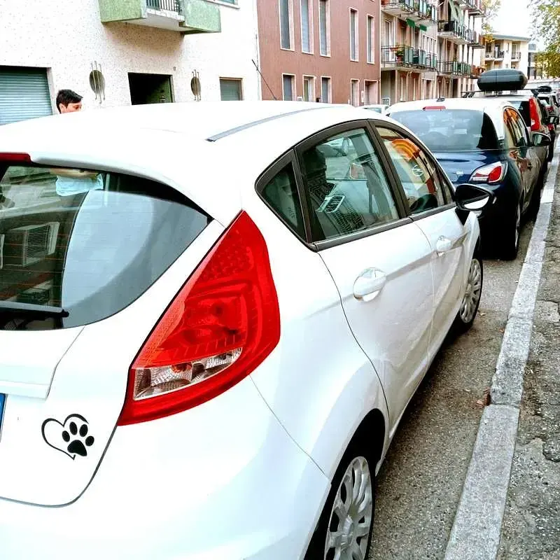 Usata Ford Fiesta Titanium 95 CV (69 kW) 2009 Berlina