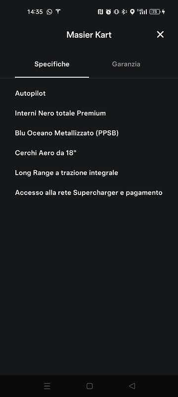 Usata Tesla Model 3 152 kW (208 CV) 2020 Berlina