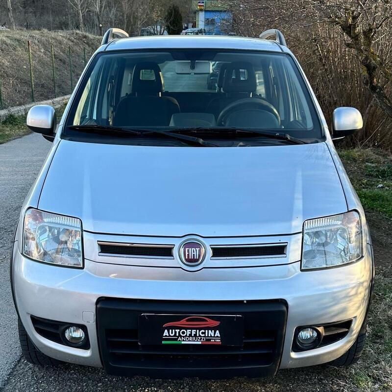 Usata Fiat Panda 4x4 Climbing 75 CV (55 kW) 2012 Grigio Utilitaria