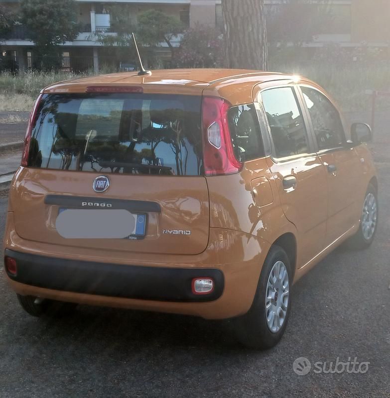 Usata Fiat Panda 70 CV (51 kW) 2020 Giallo Utilitaria