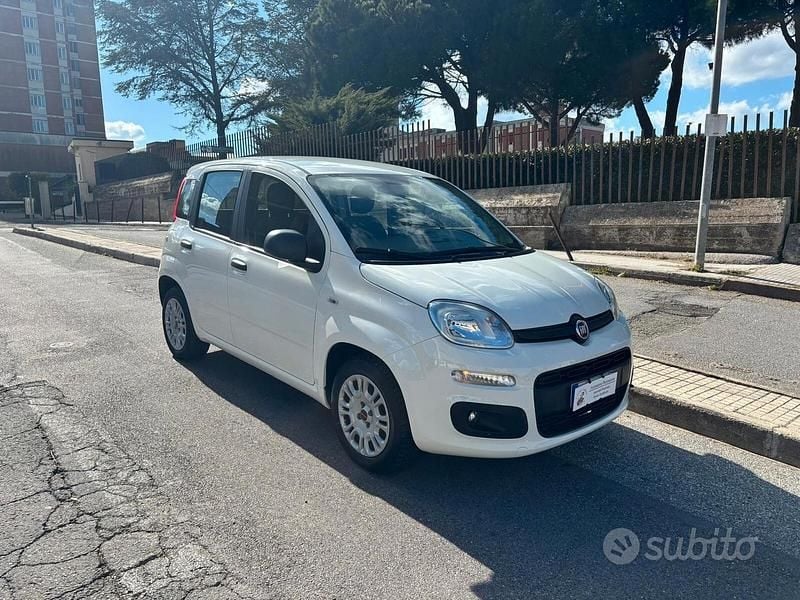 Usata Fiat Panda Easy 69 CV (50 kW) 2020 Bianco Utilitaria