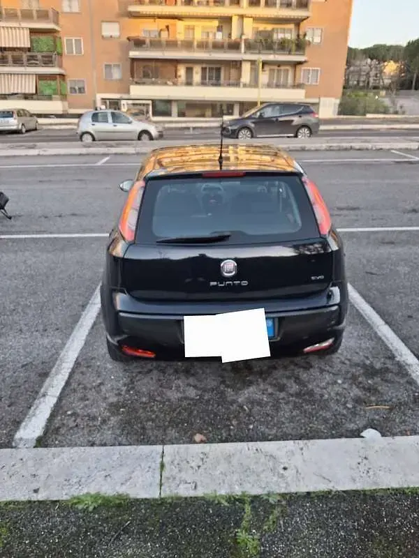 Usata Fiat Punto Evo Dynamic 65 CV (47 kW) 2011 Utilitaria