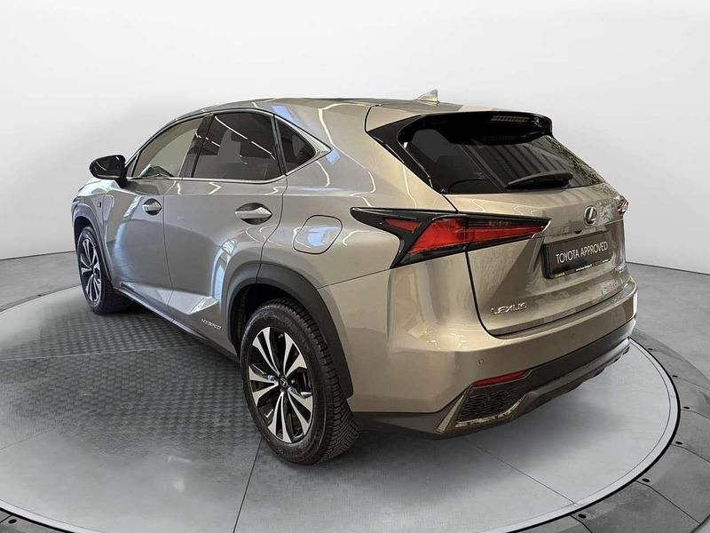 Usata Lexus NX300h Sport Line 197 CV (144 kW) 2017 Grigio SUV
