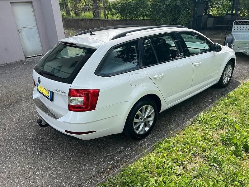 Usata Skoda Octavia Executive 2017 Bianco Station wagon